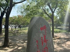 -泰丰公园
