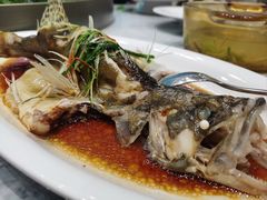 清蒸桂鱼-外滩·云南人家(昆明旗舰店)
