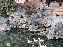 -豫园