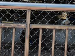 -南京金牛湖风景区