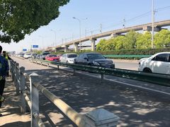 -上海浦江郊野公园·1号停车场