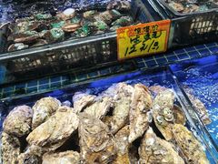 -大东海海鲜酒楼(渔人码头总店)