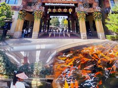 -南宫五洲植物乐园