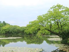 -西湖游船