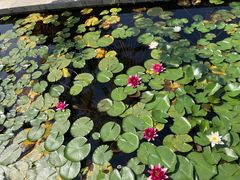 -白马涧龙池景区
