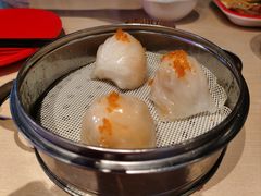 -避风塘(五角场店)