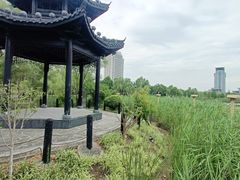 -灵秀公园