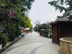 -郫都区农科村景区