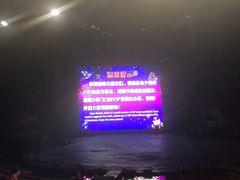 -广州长隆国际大马戏