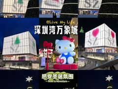 -深圳湾万象城(南山店)