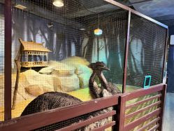 -酷嗒动物文化乐园(cutezoo西溪乐天城店)