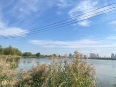 -水西公园