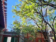 -北京鲁迅博物馆(北京新文化运动纪念馆鲁博馆区)