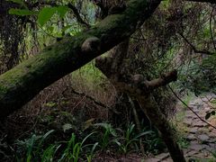 -水濂山森林公园