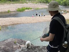 -楠溪江石桅岩