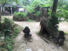 -沕沕水生态风景区