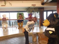 -济州岛泰迪熊博物馆