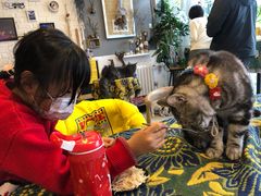 -平行世界·猫咖(首经贸店)