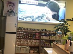 -派联宠物医院·24h·CT·异宠