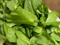 -協成海鮮火鍋(老店)