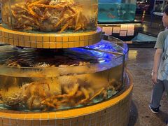 -荔城生鲜盛宴(番禺旗舰店)