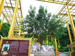 -西双版纳勐泐文化旅游区