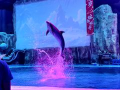 -华夏文旅海洋公园