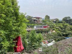 -正宗火盆自助烧烤·烤全羊·柴火鸡(龙泉山店)