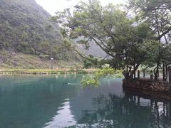 -靖西鹅泉风景区