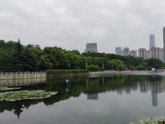 -后襄河公园