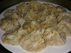 薄皮包-丝路天山酒店(国际大巴扎店)