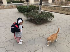 -北京麋鹿生态实验中心