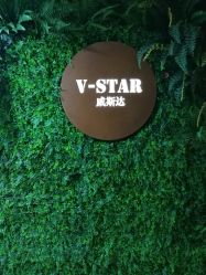 -V-STAR威斯达•高级私人定制