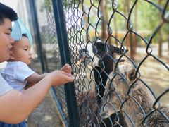 -大连森林动物园