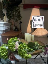-青禾蒙娜丽莎婚纱摄影(武汉总店)