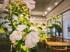 -苏湘杭(普罗旺世店)