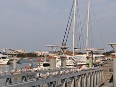 -日照世帆赛基地