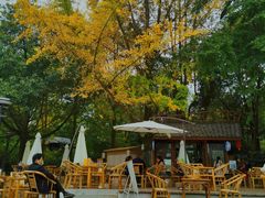 -成都市活水公园