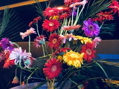 -古乐牛香·鲜牛肉牛杂火锅(新区店)