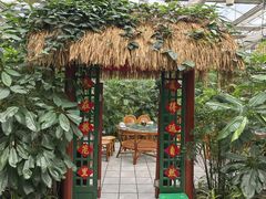 -春满园生态餐厅(南宫路店)