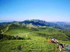 -灵山