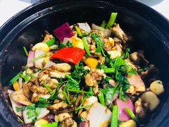 -石岐乳鸽村(南海第三分店)