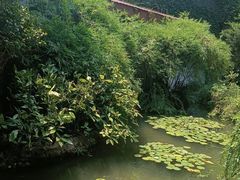-中国茶叶博物馆(双峰馆区)