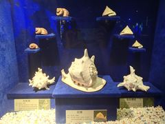 -大连圣亚海洋世界