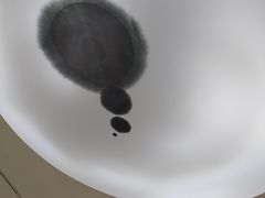 -中国宣纸文化园