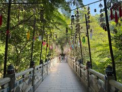 -西双版纳原始森林公园