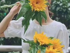 -世纪同乐绿地世纪城二期