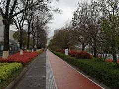 -聚龙湖公园