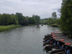 -溱湖国家湿地公园