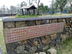 -王借岗森林公园